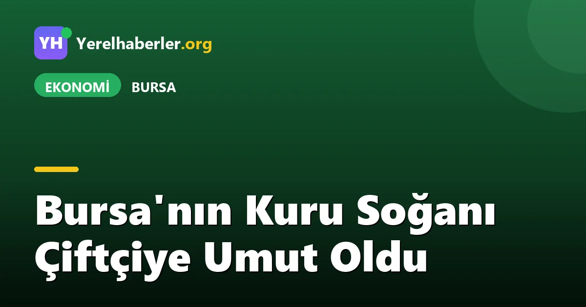 Bursa'nın Kuru Soğanı Çiftçiye Umut Oldu