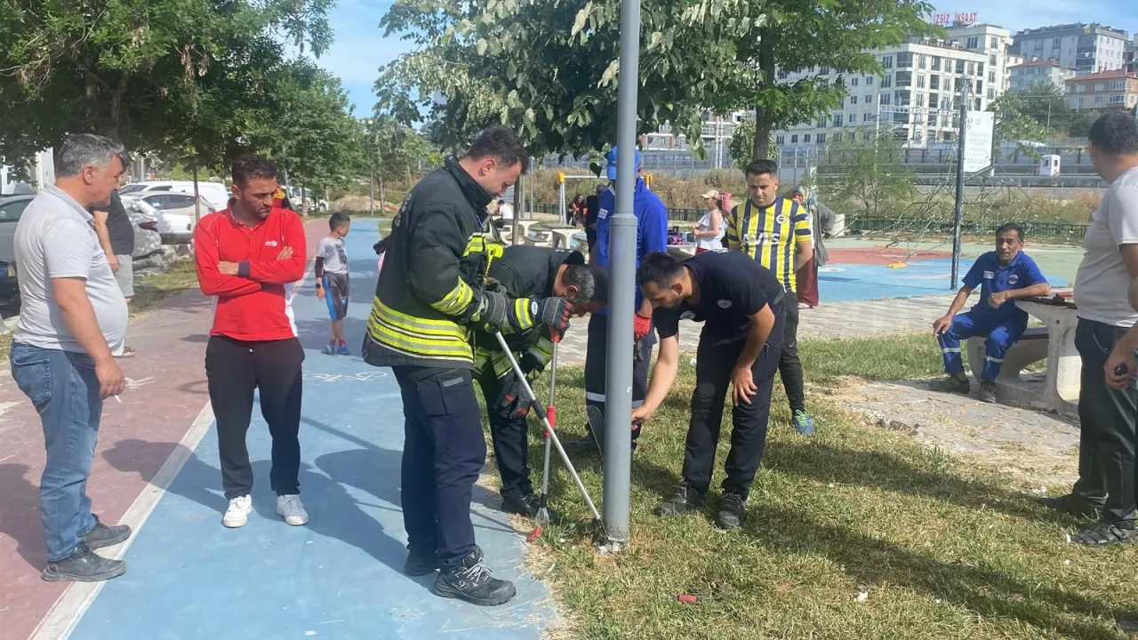 Gazi Mustafa Kemal Paşa Mahallesi'nde Yılan Panik Yarattı