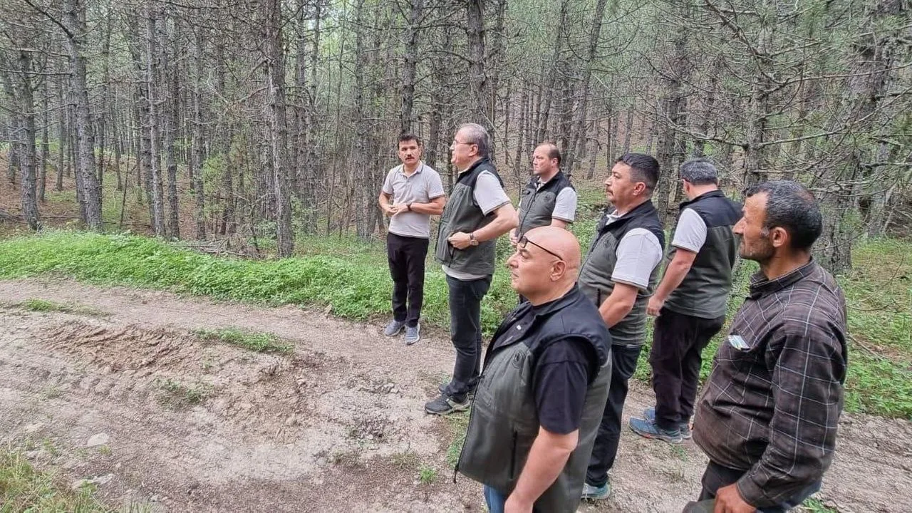 Kıbrıscık'ta Ormanların Geleceği İçin Silvikültür Denetimi