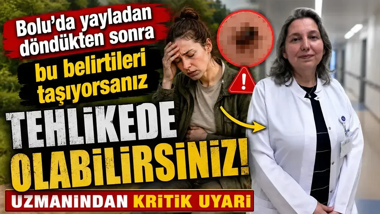 Bolu Yaylalarında Kene Tehdidi: Uzmanlardan Önemli Uyarılar!