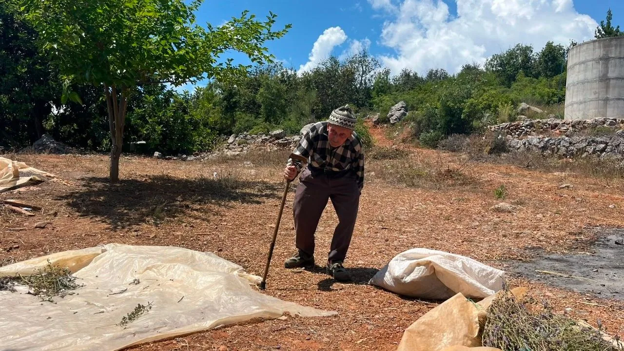 Çamlıca Mahallesi'nde 90'ını devirmiş, sağlıklı yaşamın sırrı doğal hayat