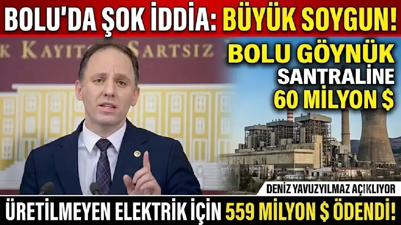 Bolu Göynük Termik Santrali'ne 60 Milyon Dolar Teşvik İddiası