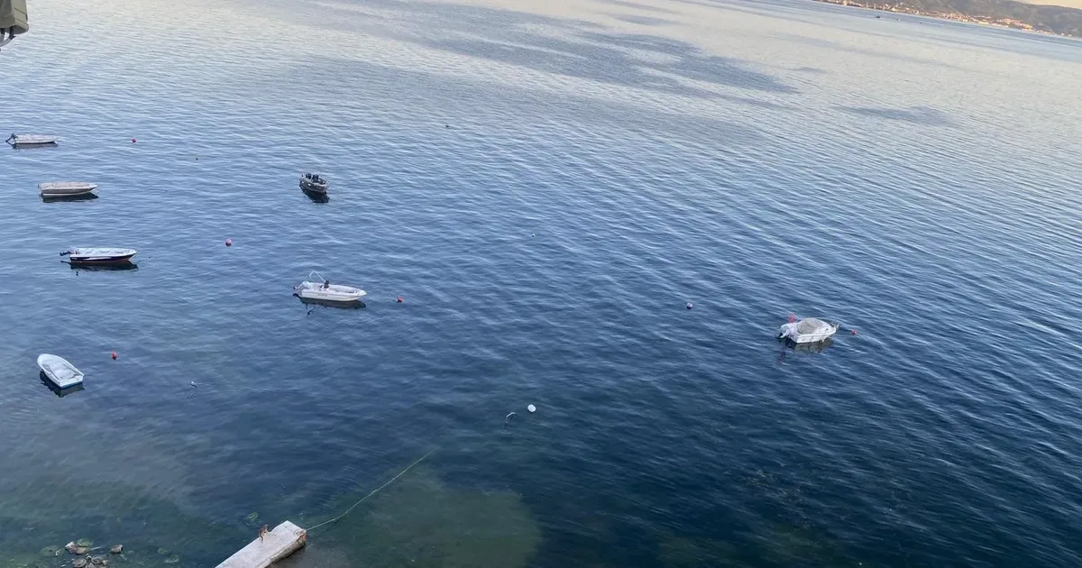 Gemlik Körfezi'nde Müsilaj Sonrası Mutlu Gelişmeler